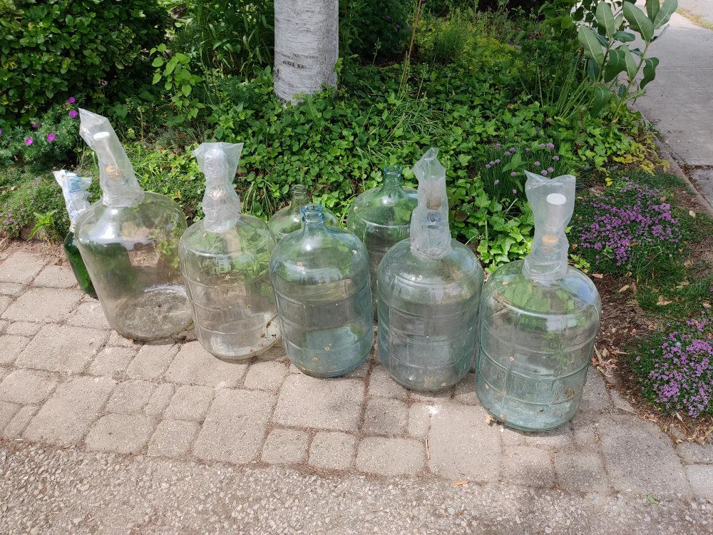 Carboys! as-is, come get 'em! #freecycle thumbnail