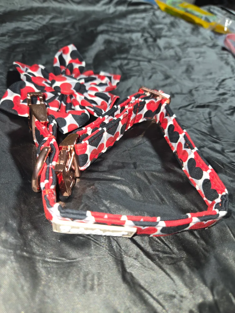 Pet dog collar with tie - Size M image indicator(2)