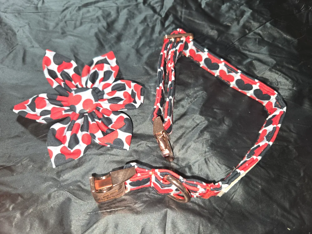 Pet dog collar with tie - Size M image indicator(3)