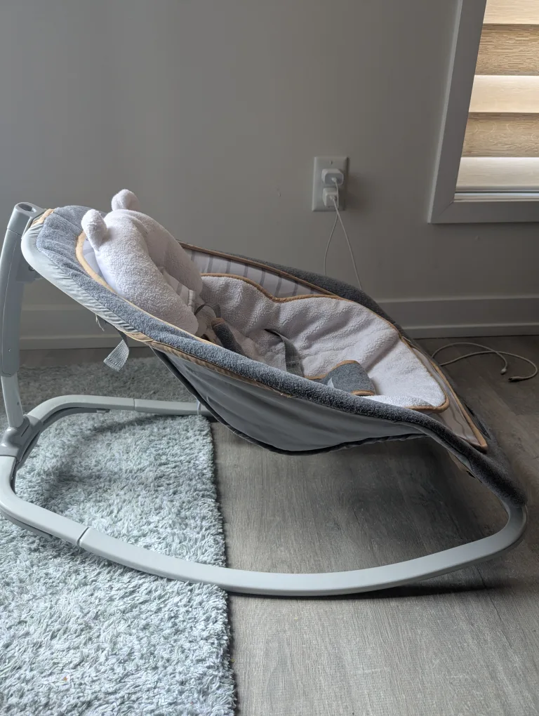 Ingenuity Boutique Collection Baby Rocker image indicator(2)