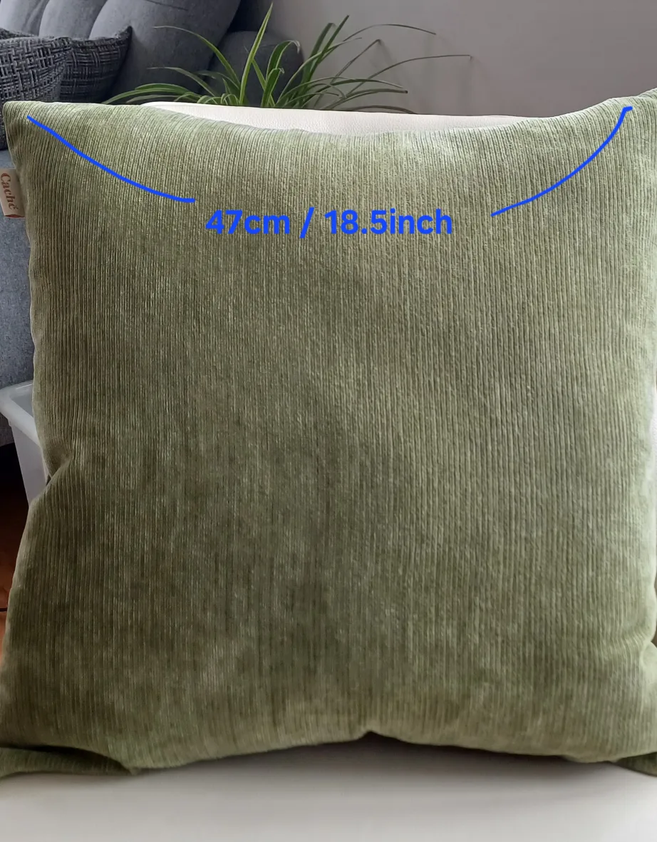 Cache Couch Pillow - 18.5 inch thumbnail