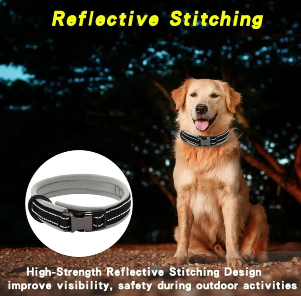 Dog Collar - Size S image indicator(7)