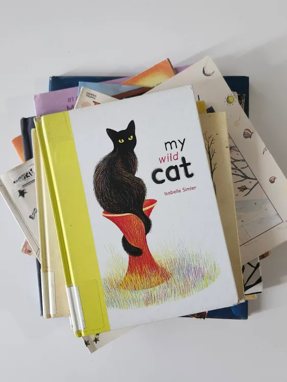Children's Books Bundle thumbnail