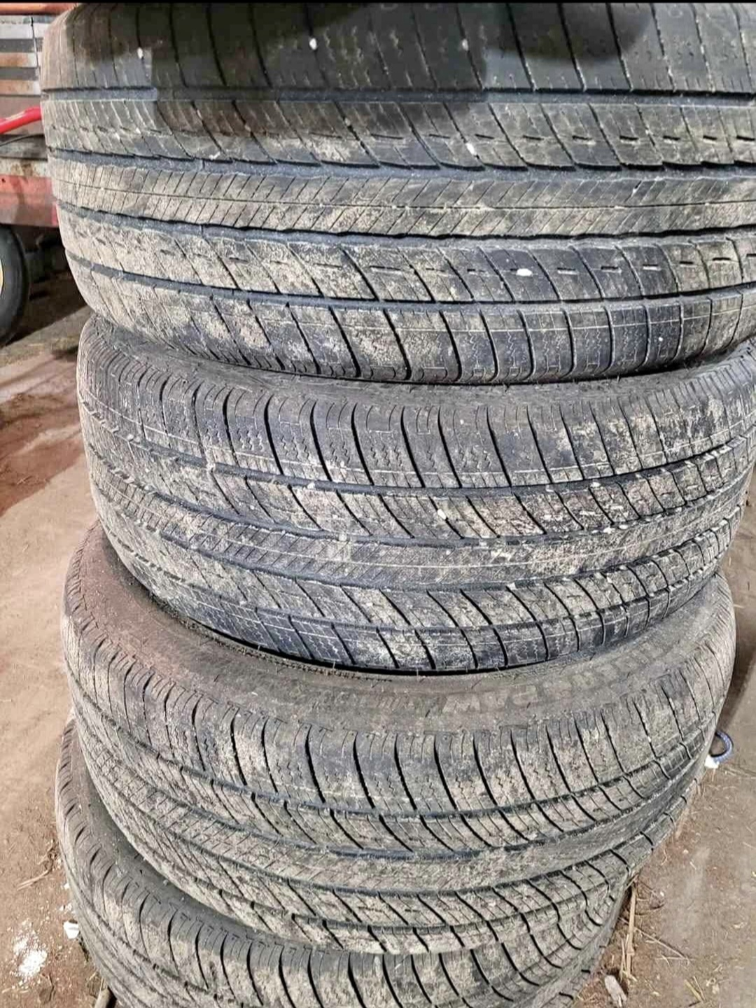255/50 R20 Tiger Paw