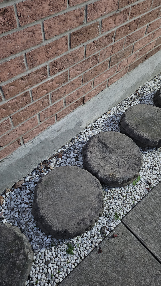 Garden Stepping Stones - Set of 6 - photo 2