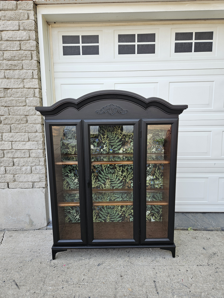 Newly painted Cabinet with Glass Doors