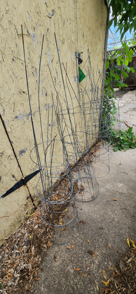 tomato Cages