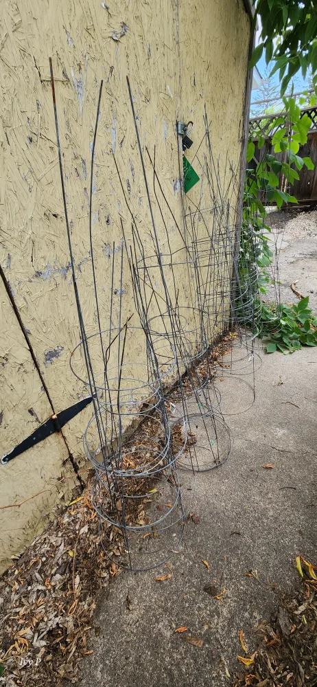 tomato Cages thumbnail