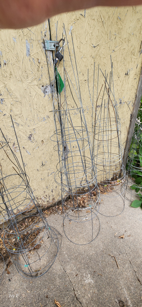 tomato Cages - photo 3