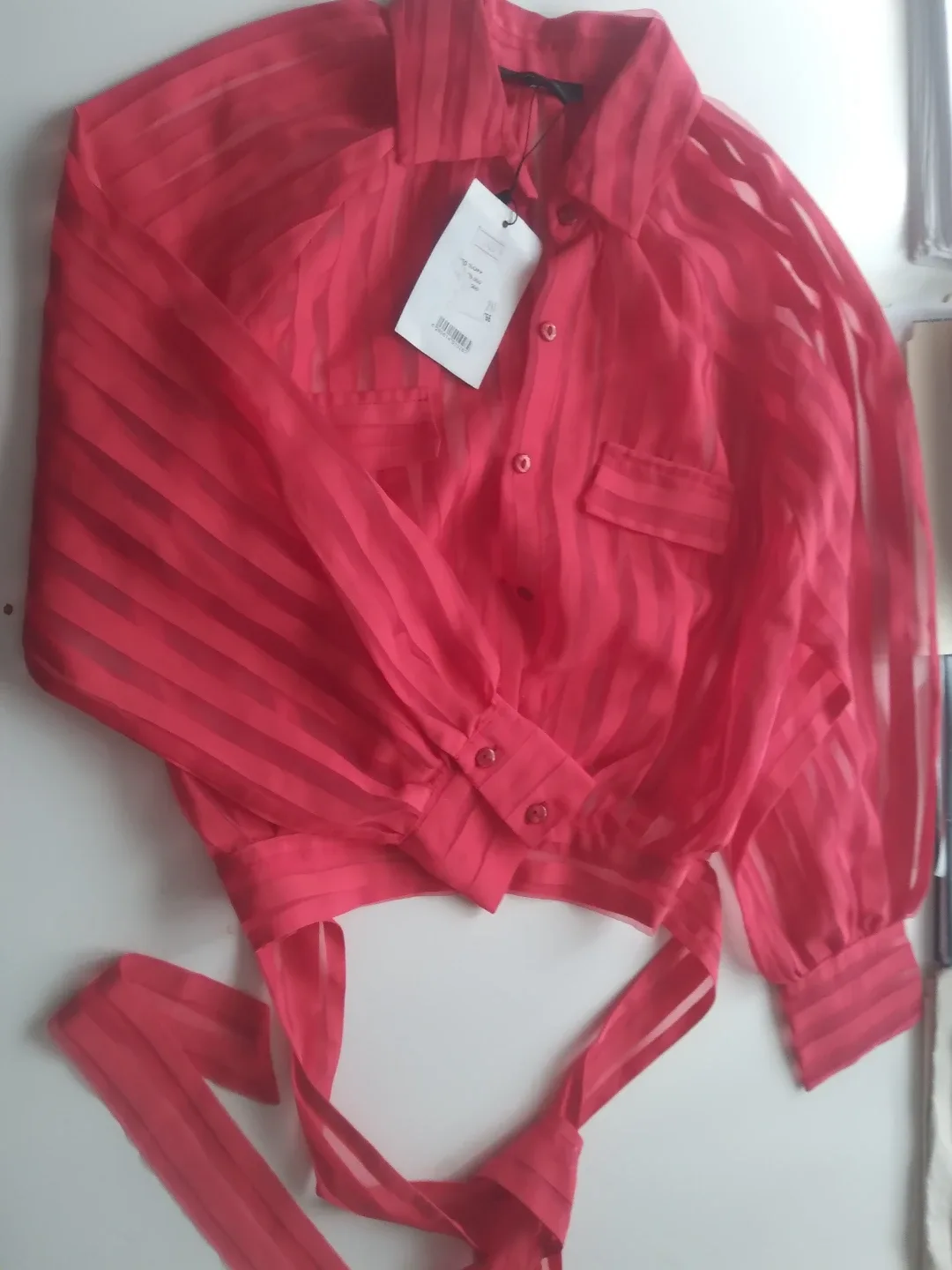 Red Striped Blouse thumbnail