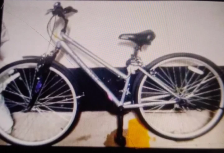 Supercycle Hybrid Bicycle