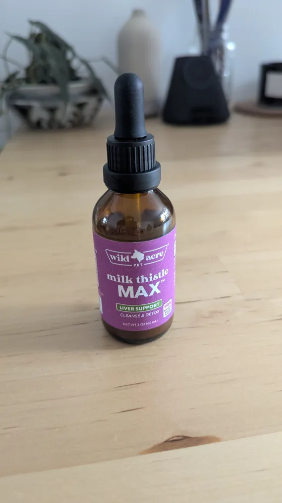 Milk Thistle for Dogs & Cats #freecycle thumbnail