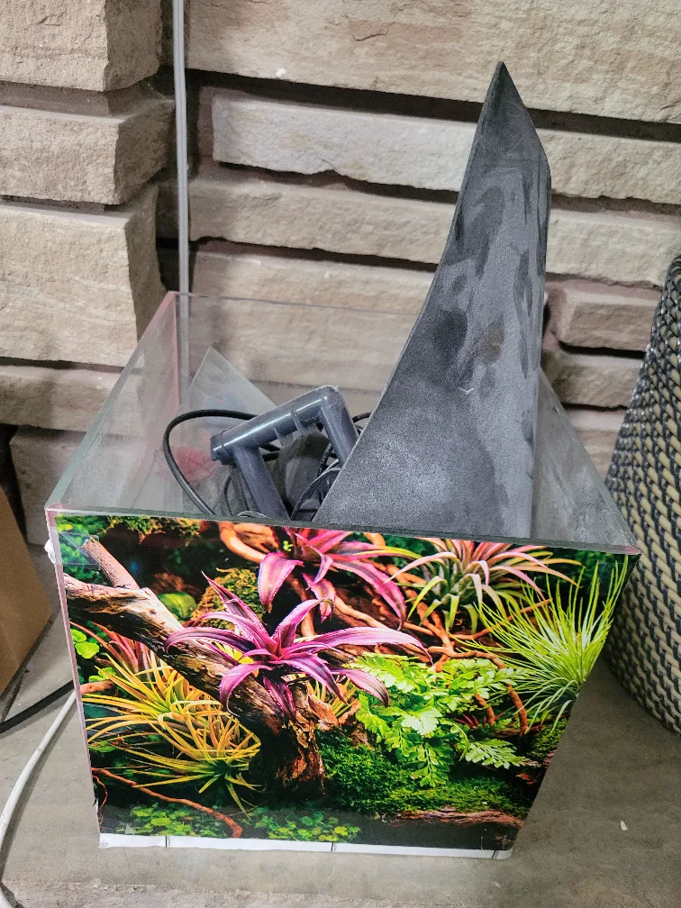 Used Fish Tank with Filter and Accessories image indicator(3)