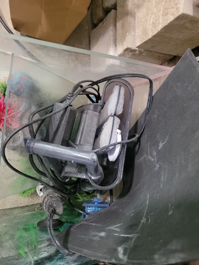 Used Fish Tank with Filter and Accessories image indicator(4)