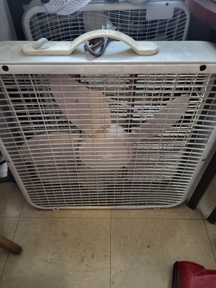 Lakewood Box Fan - photo 2