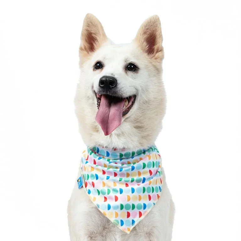 The Dodo Colorblock T-Shirt & Bandana Set - Size L image indicator(9)