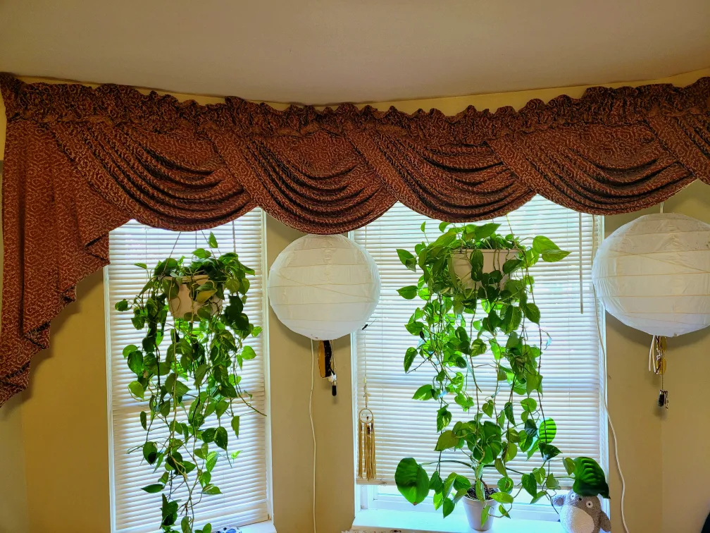 Waterfall Curtains thumbnail