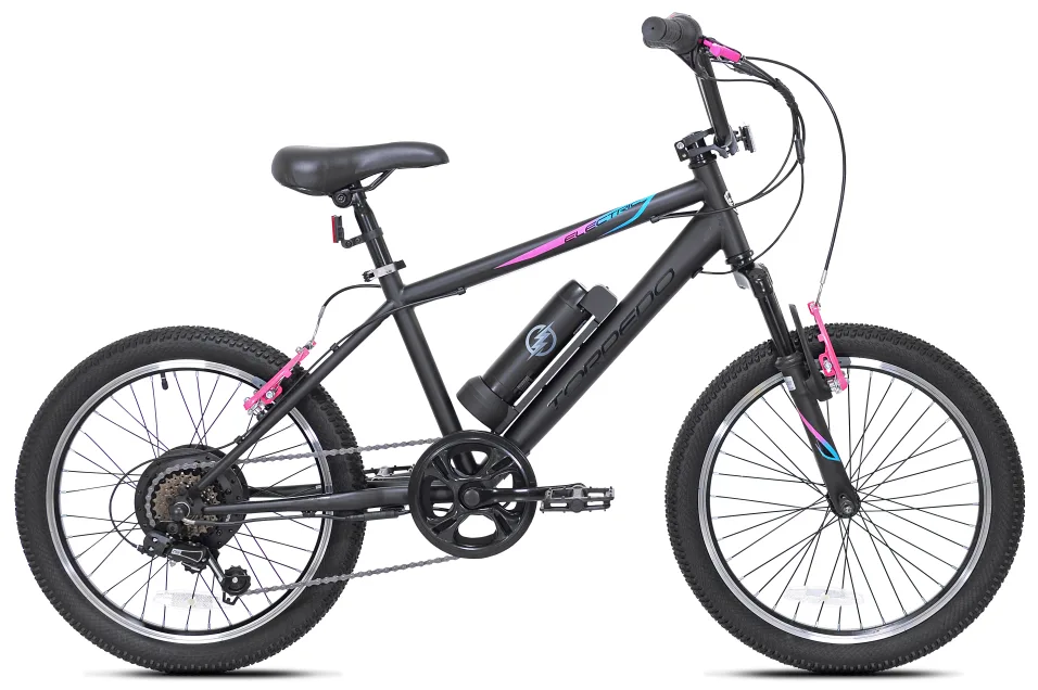 Electric Bike image indicator(2)