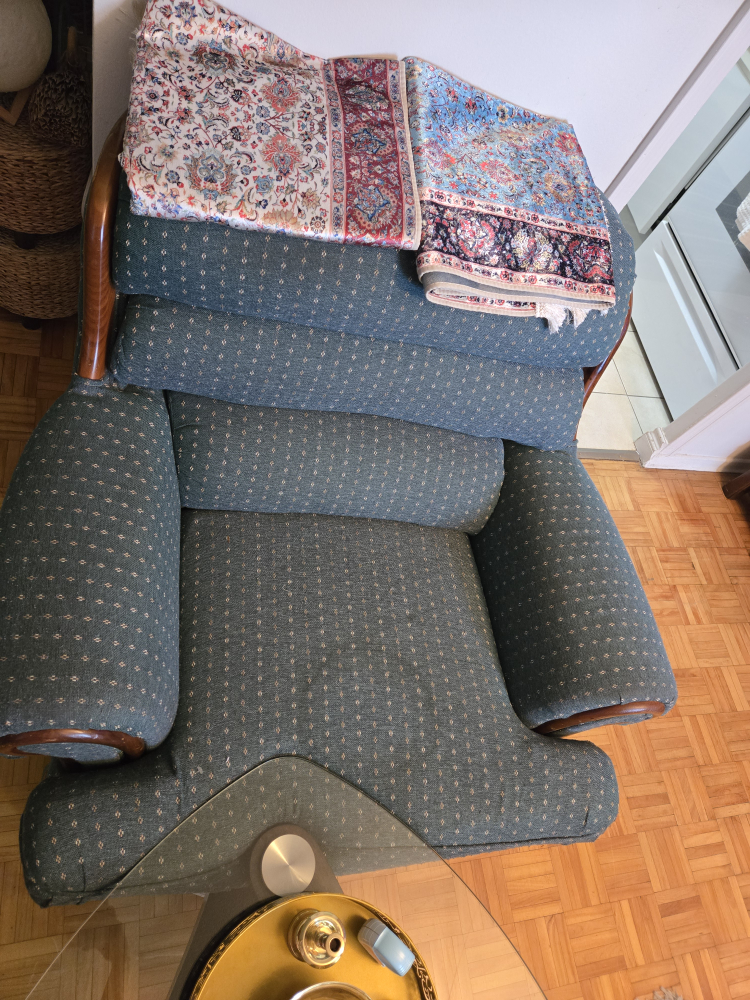 Armchair - Blue Patterned Fabric