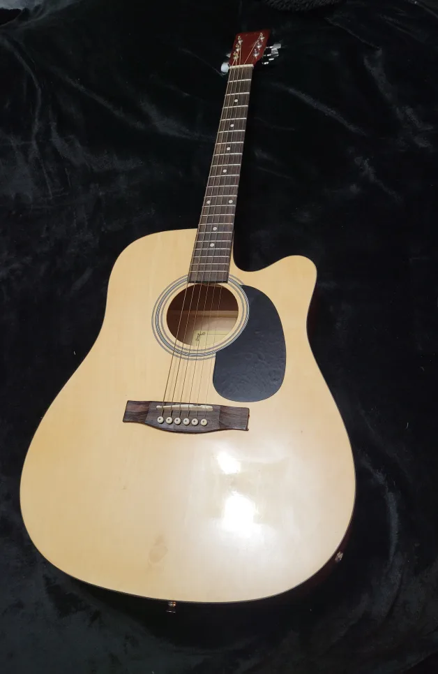 Academy D-8 Acoustic Electric Guitar with Accessories image indicator(2)