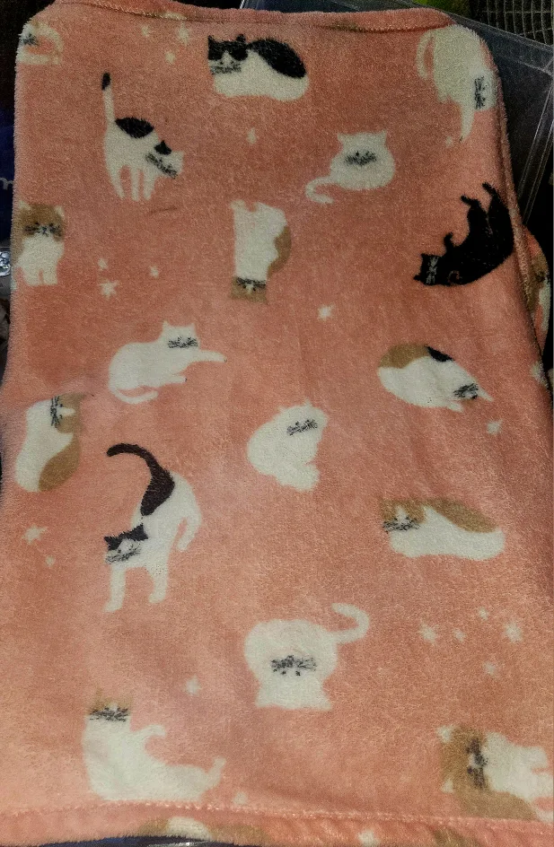 Cat Print Throw Blanket thumbnail