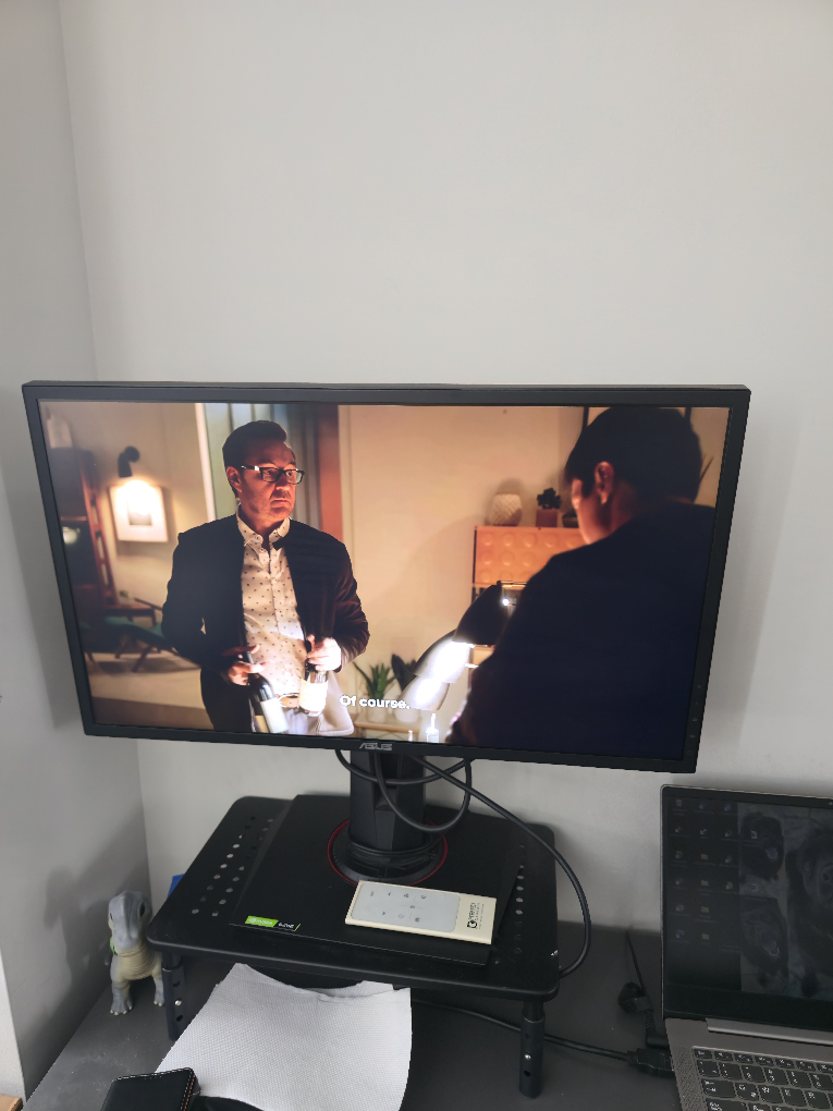 ASUS Monitor... URGENT