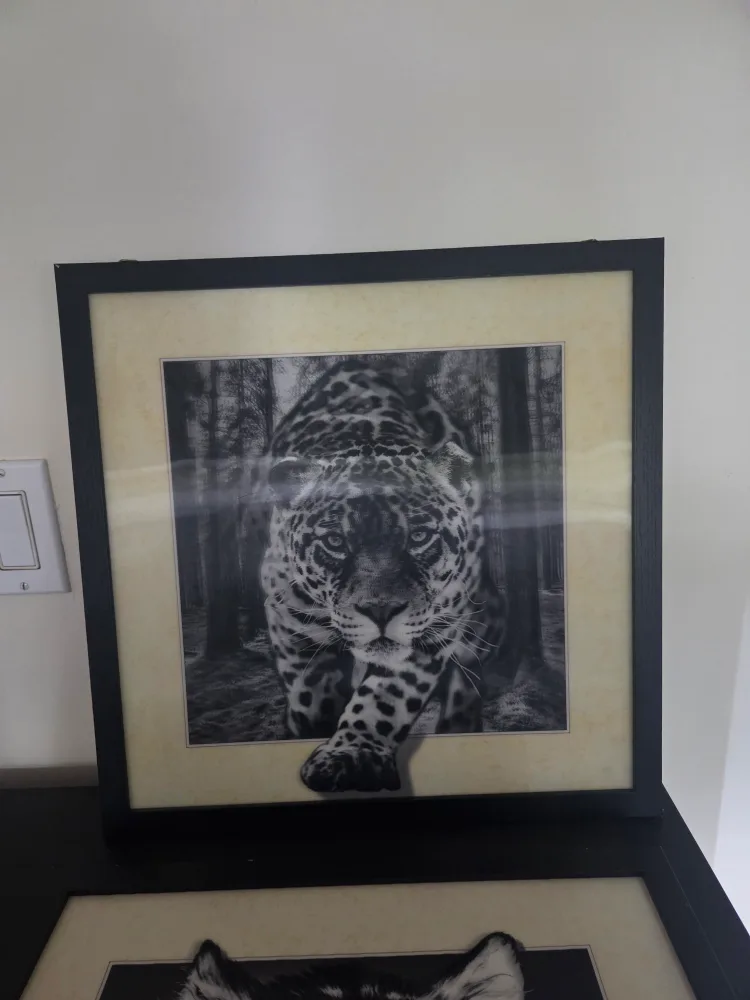 3d Animal prints thumbnail