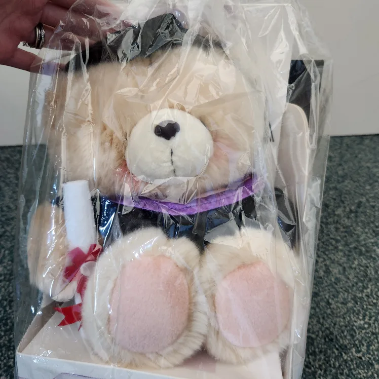 Forever Friends Graduation Bear image indicator(2)