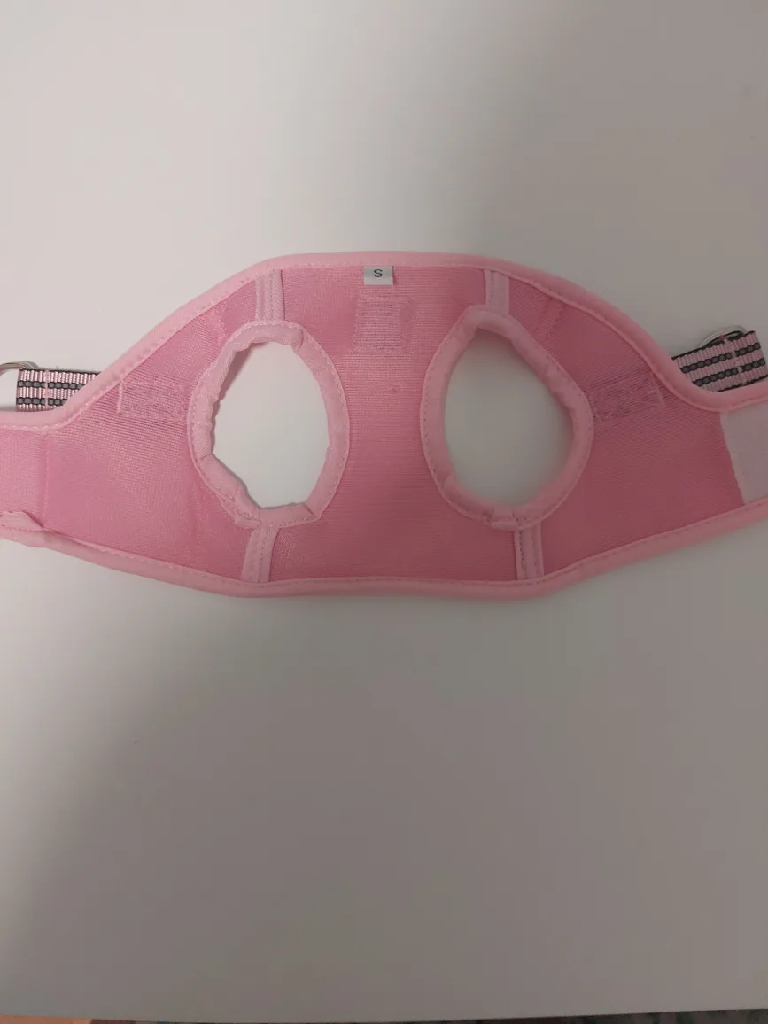 Dog harness, size small and leash combo image indicator(4)