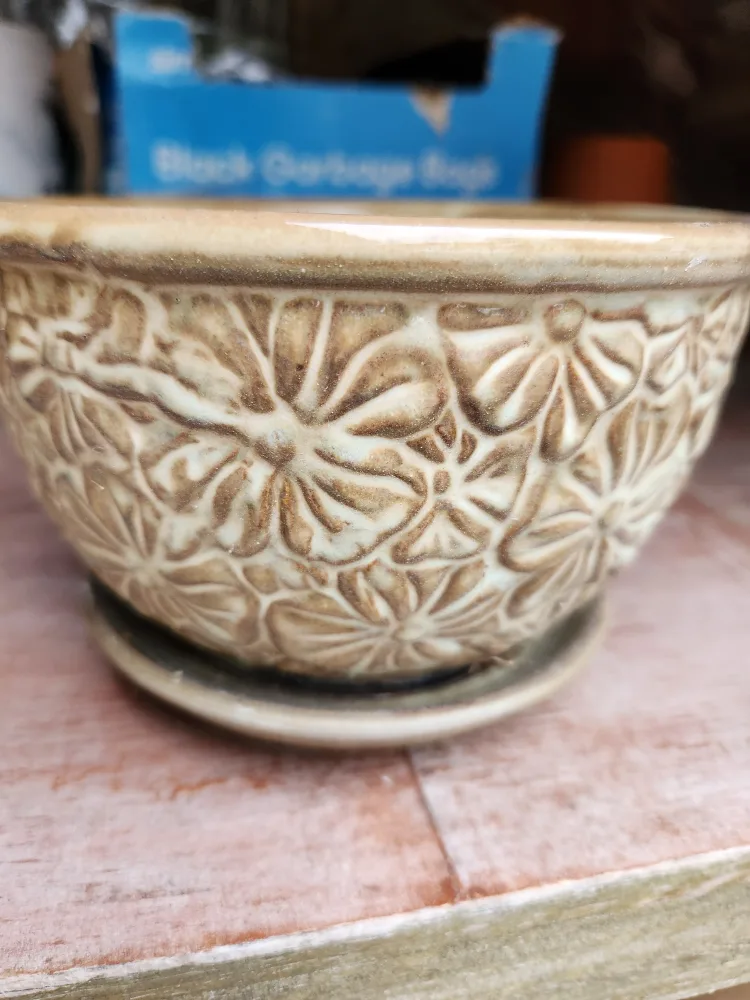 Ceramic Flower Pot with Saucer #freecycle thumbnail