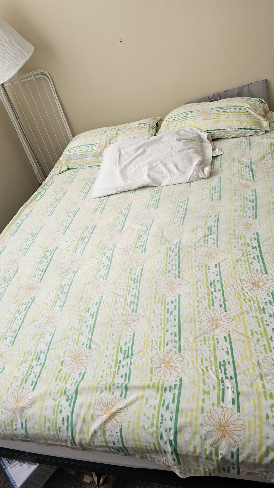 Queen Size Bed Frame and Mattress