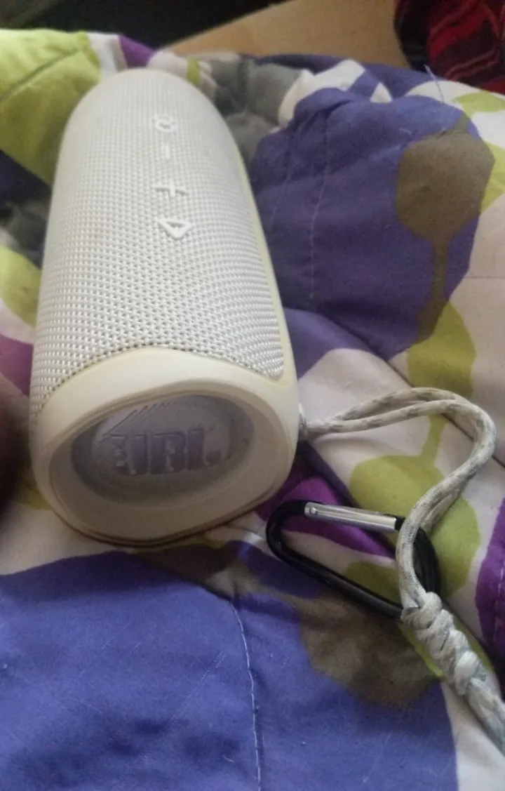 JBL Flip 5 Portable Speaker 💚 image indicator(3)