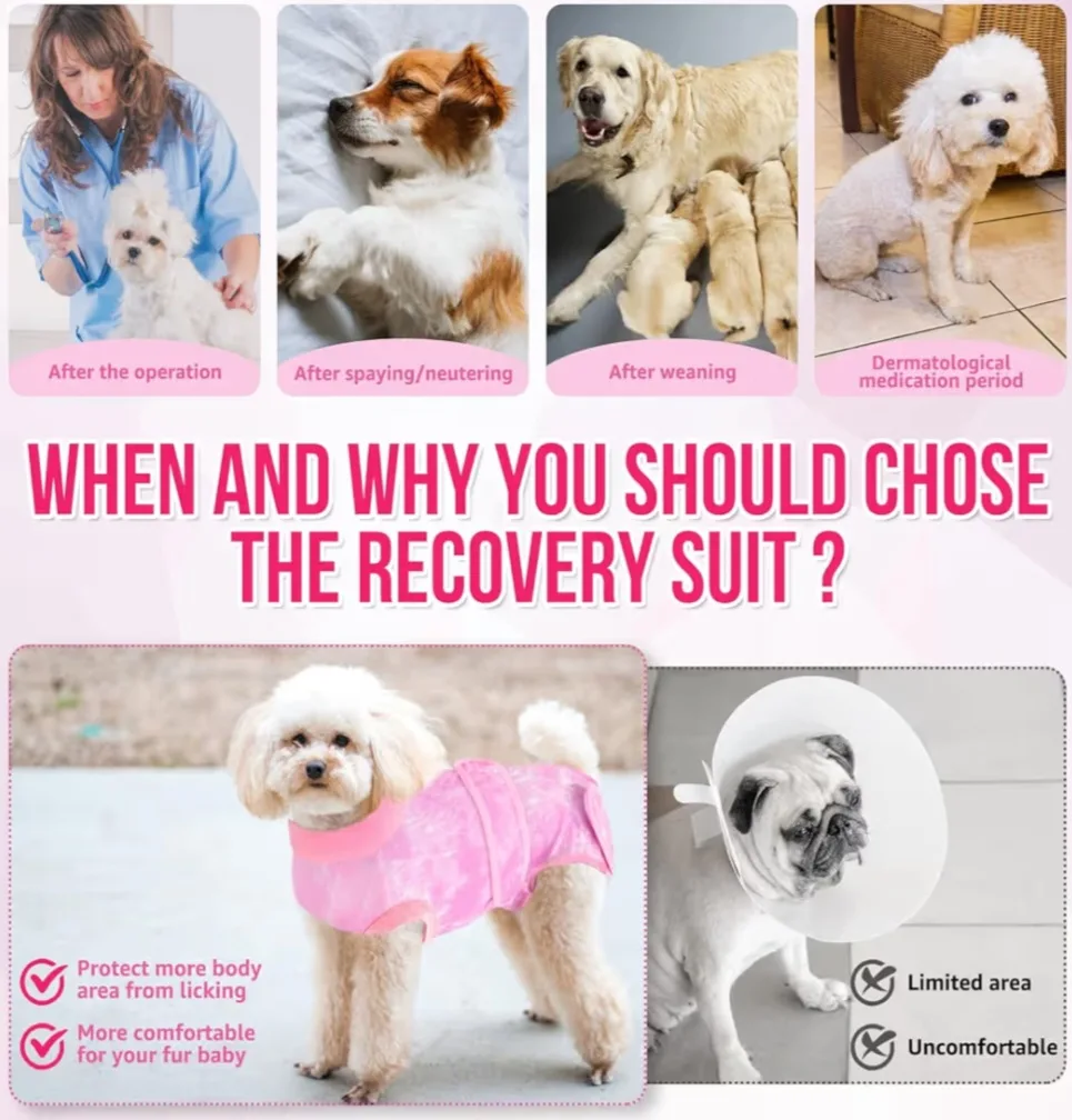 Pink Dog recovery suit - Size L image indicator(8)