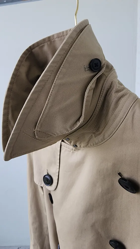 Beige Trench Coat image indicator(4)