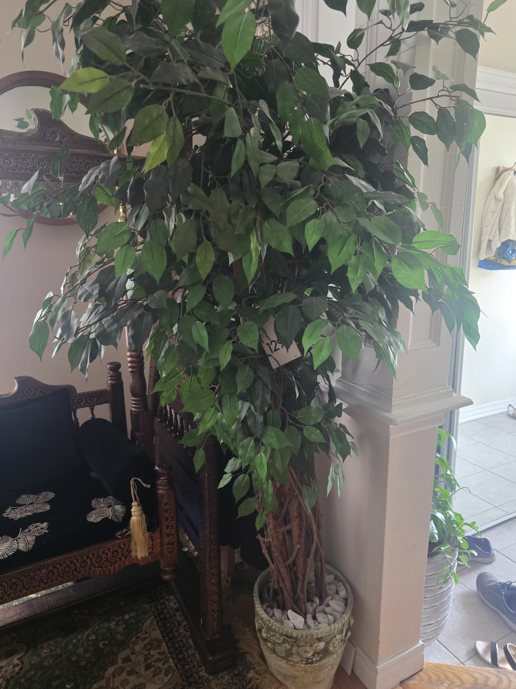 indoor large decorative tree - photo 2