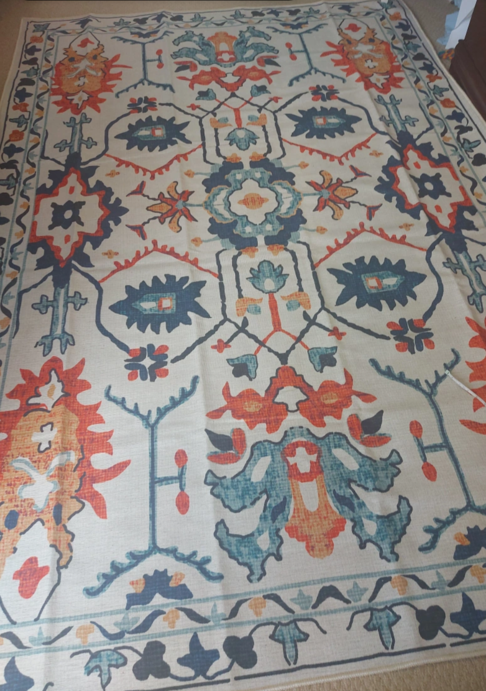 Area Rug with Ornate Pattern - 6 X 9