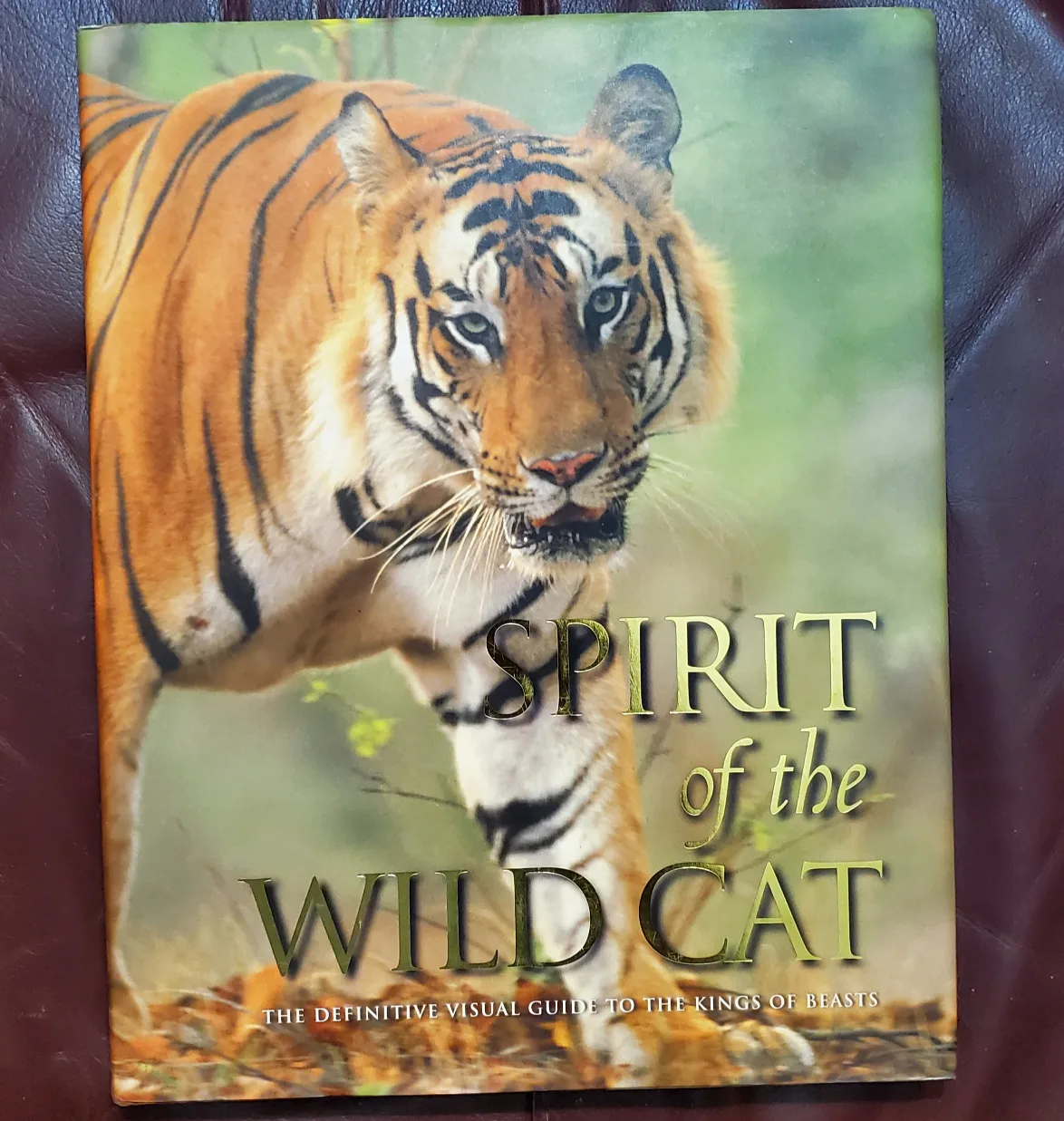 Book of Large Cats 💚 thumbnail