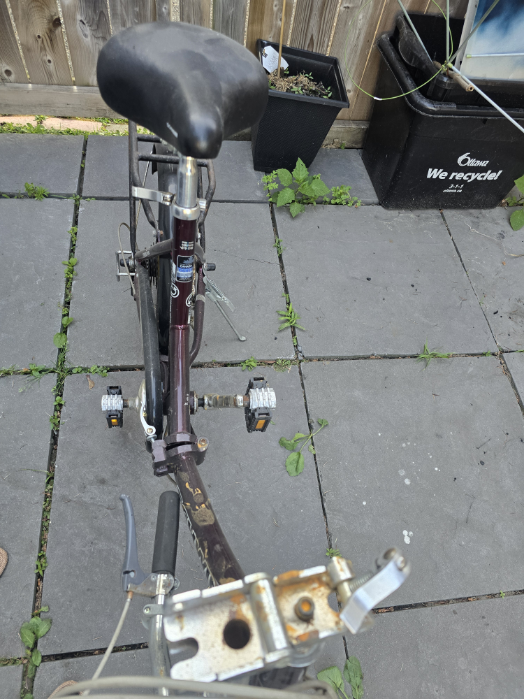 Schwinn Tanza Folding Bike - Lite Aluminum Touring - photo 4