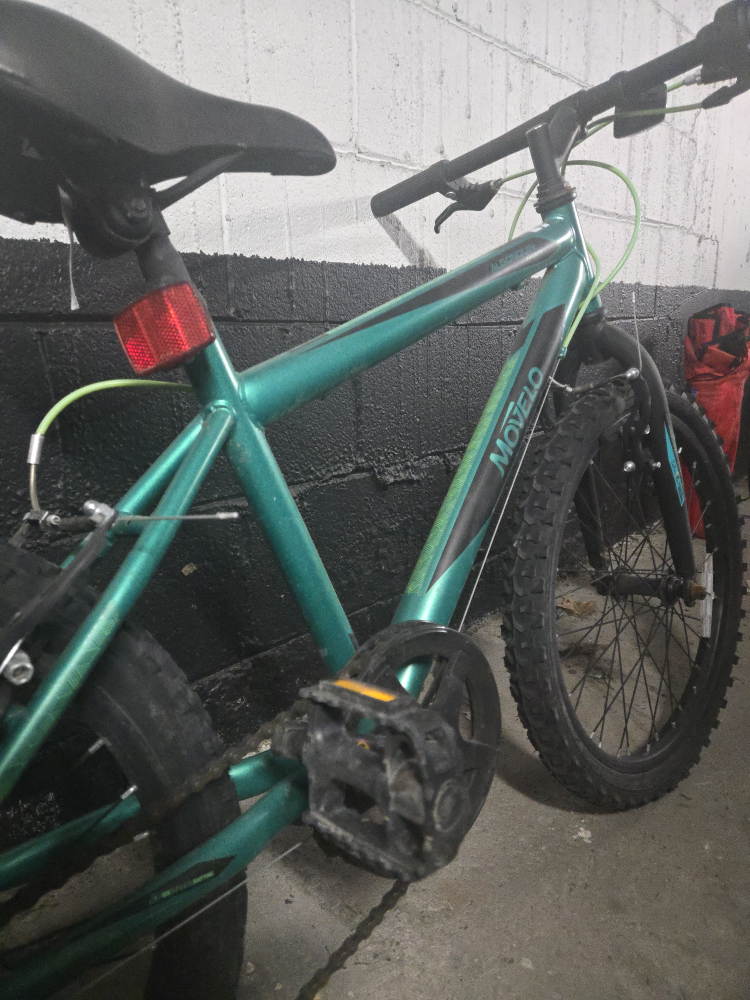 Boys Movelo Algonquin 20 inch bike - photo 3