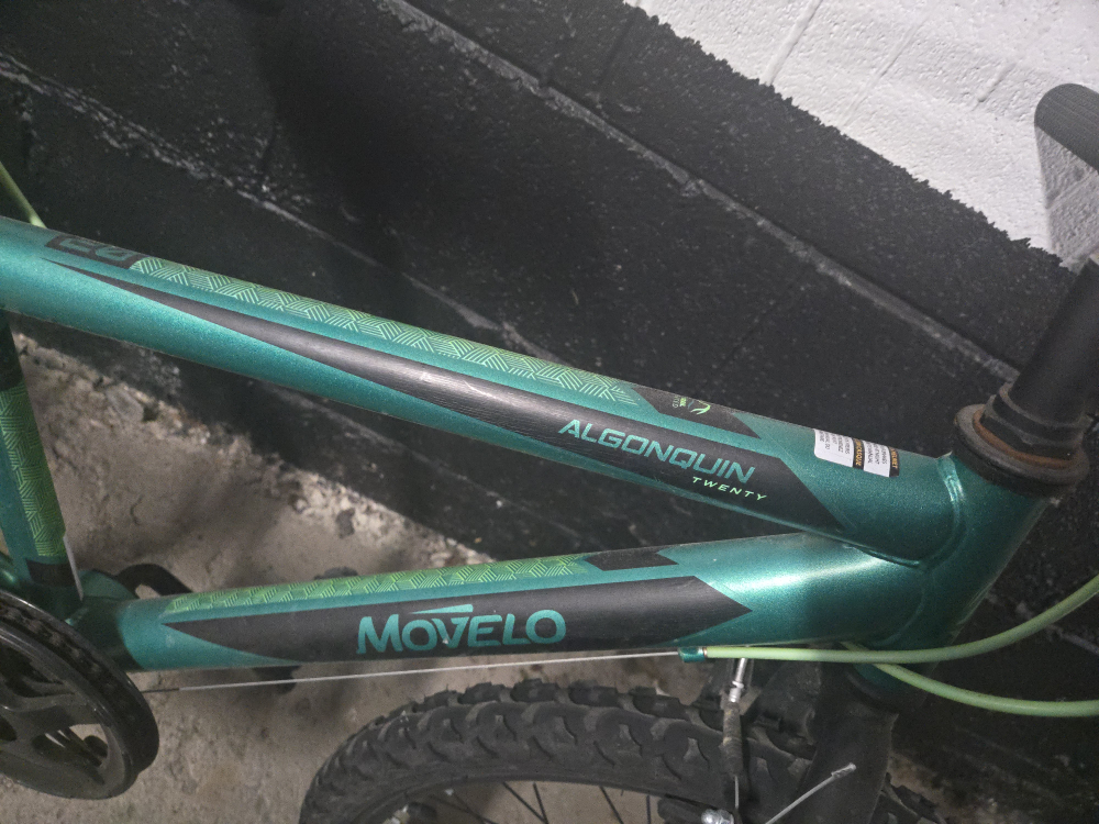 Boys Movelo Algonquin 20 inch bike - photo 4