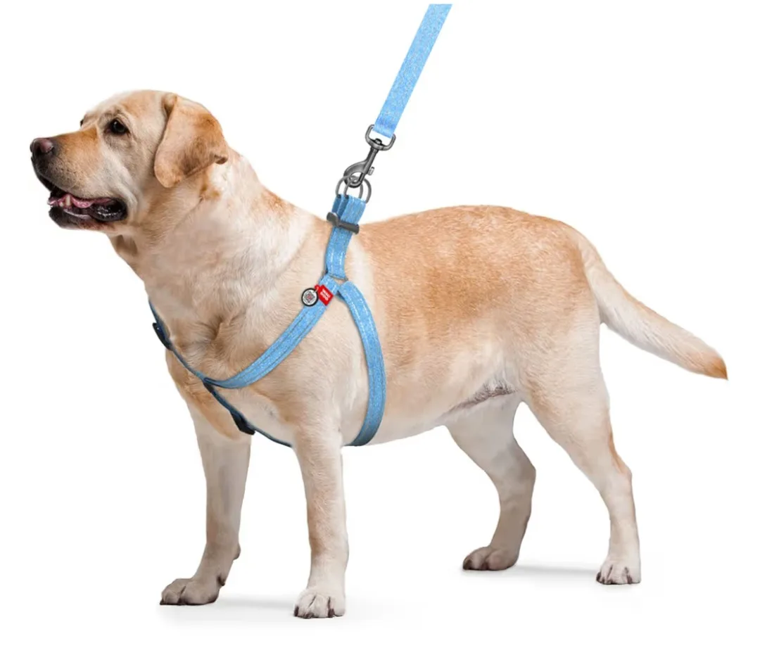 Dog Harness - Blue - Size M image indicator(2)