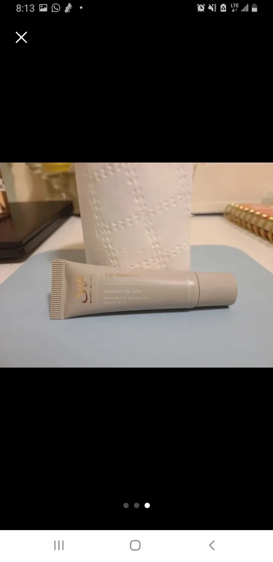 Saje Lip Nourish Spearmint Lip Salve 💚🥕 image indicator(3)