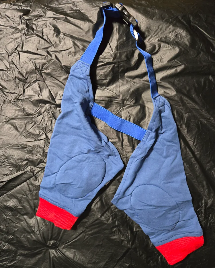 Dog Front Leg Braces - Size XL image indicator(3)