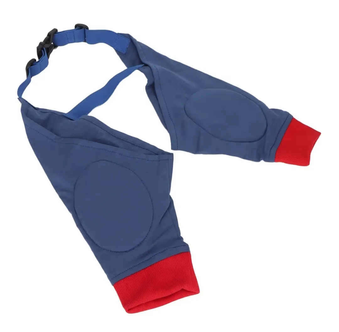 Dog Front Leg Braces - Size XL image indicator(5)