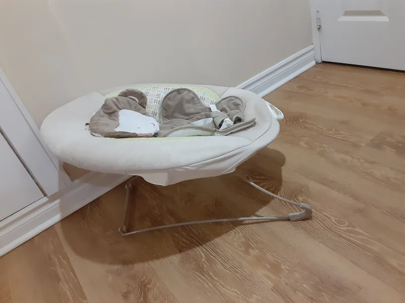 Fisher-Price Infant-to-Toddler Rocker image indicator(6)