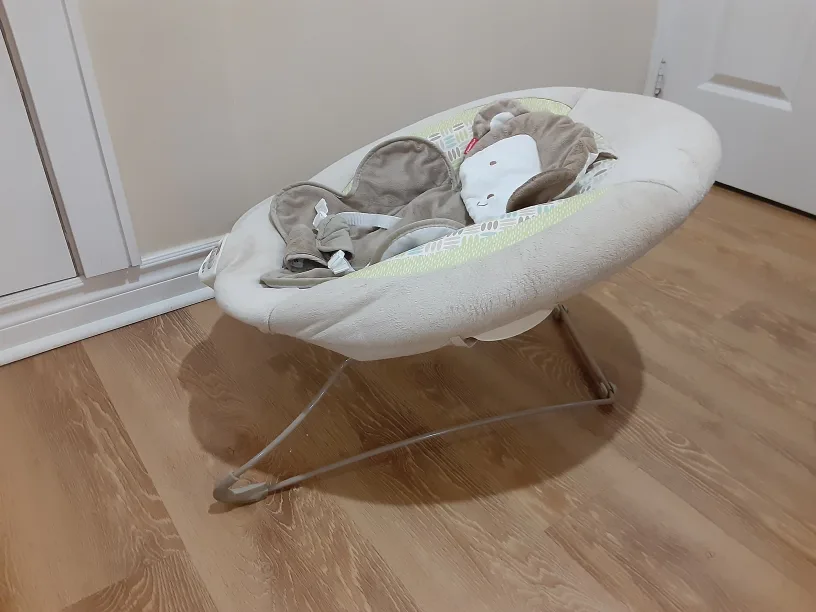 Fisher-Price Infant-to-Toddler Rocker image indicator(7)