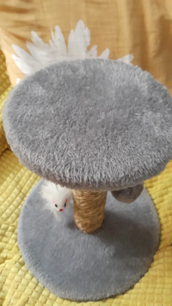 Small Cat Scratching Post with Toys #Freecycle image indicator(3)