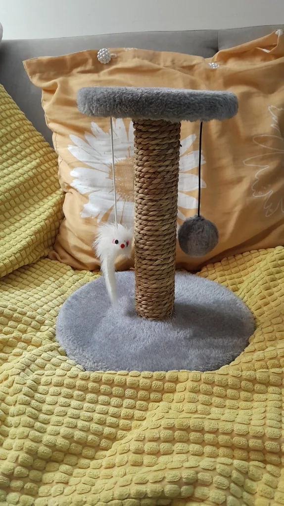 Small Cat Scratching Post with Toys #Freecycle image indicator(4)