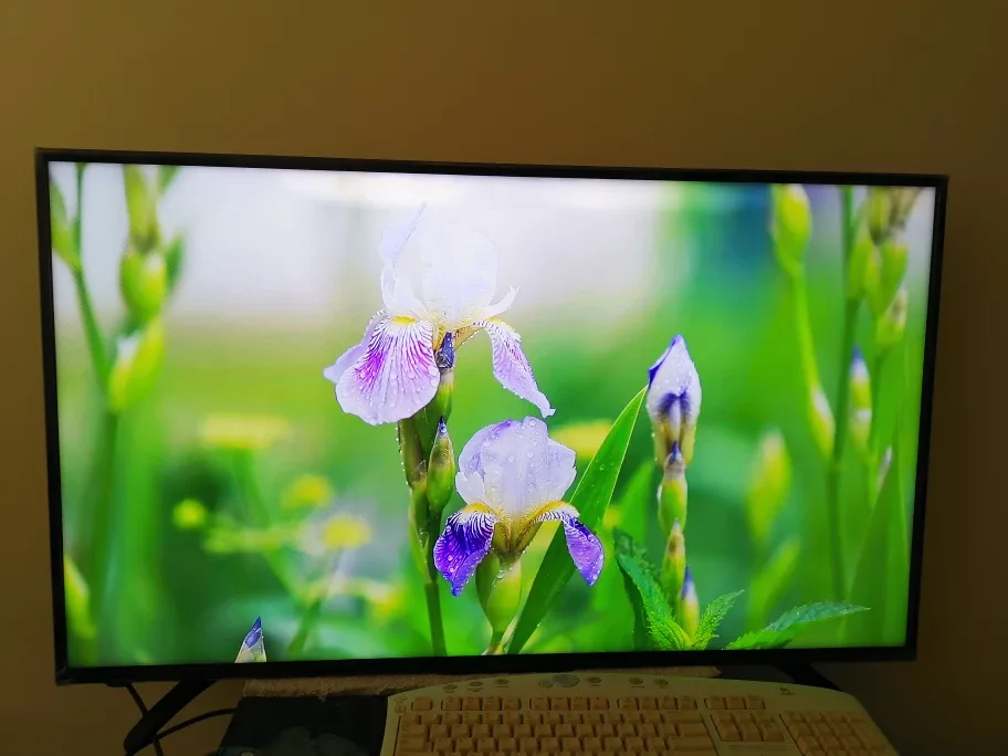 Sharp Roku TV 43" 4K UHD image indicator(5)