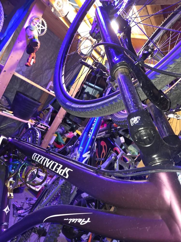 Specialized Ariel Sport Bike image indicator(2)